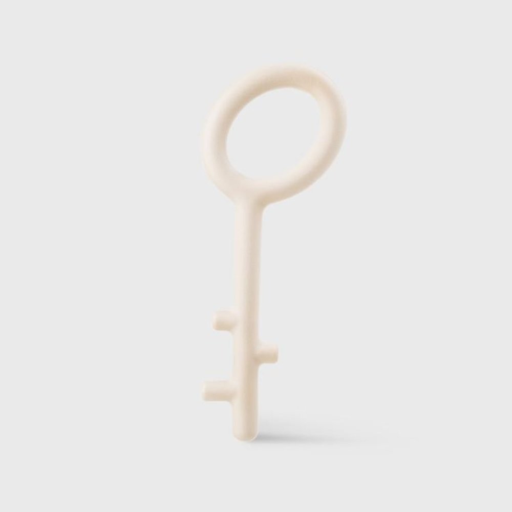 The 'Key' Dog Chewing Toy